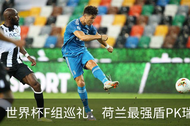 世界杯F组巡礼：荷兰最强盾PK瑞典犀利刀 日本短板明显